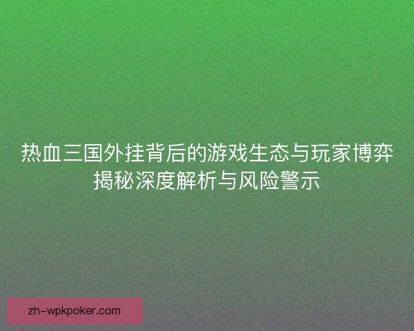 热血三国外挂背后的游戏生态与玩家博弈揭秘深度解析与风险警示